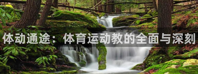 betway西汉姆联