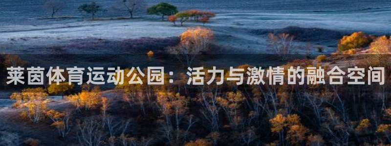 必威betway西汉姆联：莱茵体育运动公园：活力与激情的融合空间