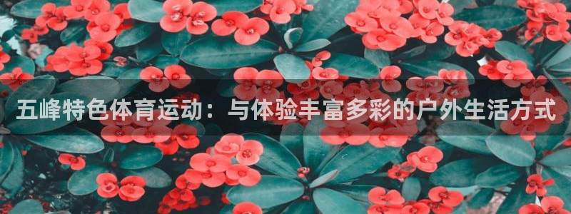必威betway西汉姆联：五峰特色体育运动：与体验丰富多彩的户外生活方式