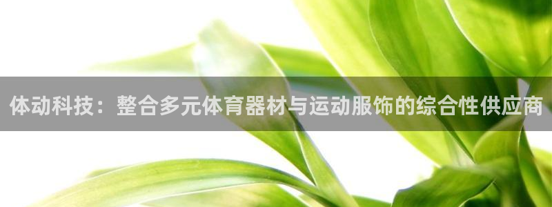 betway西汉姆官网：体动科技：整合多元体育器材与运动服饰的综合性供应商