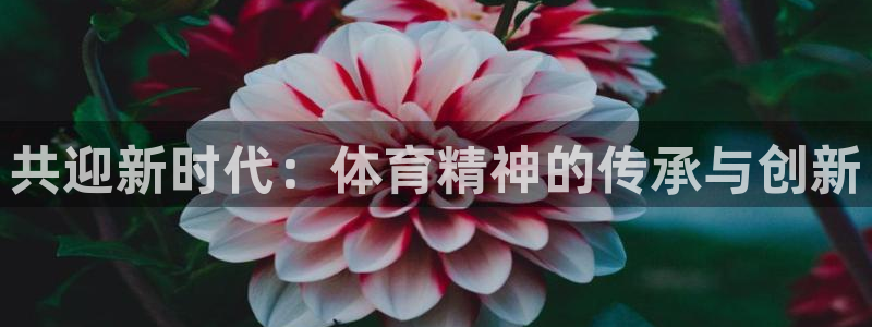 betway西汉姆：共迎新时代：体育精神的传承与创新