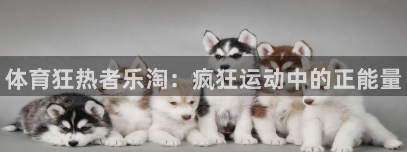 betway西汉姆官网：体育狂热者乐淘：疯狂运动中的正能量