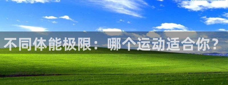 betway西汉姆联官网：不同体能极限：哪个运动适合你？