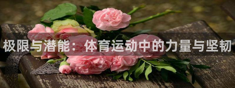 betway西汉姆联：极限与潜能：体育运动中的力量与坚韧