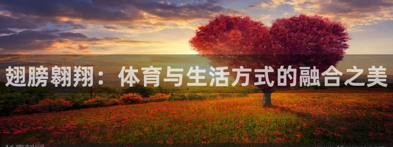 必威betway西汉姆联：翅膀翱翔：体育与生活方式的融合之美