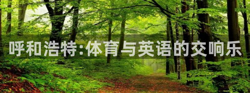 betway西汉姆联官网：呼和浩特:体育与英语的交响乐